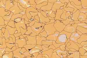 Кварцвиниловые полы Forbo Colorex SD 150219 фото  | FLOORDEALER